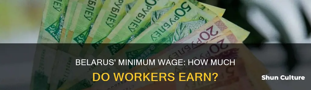 what is the minimum wage in belarus