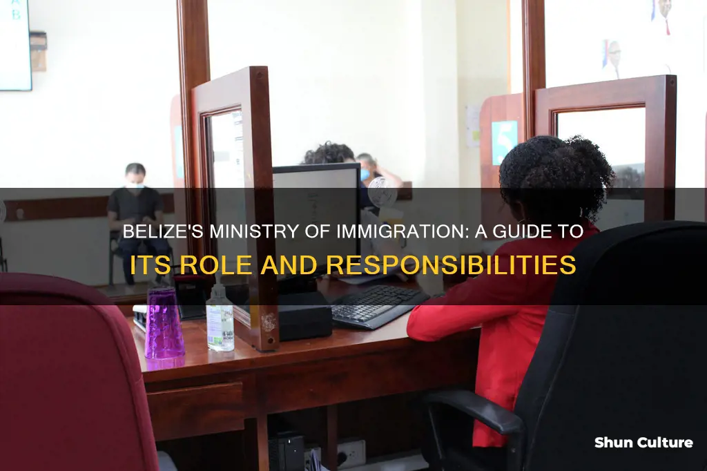 what is the ministry of immigration in belize