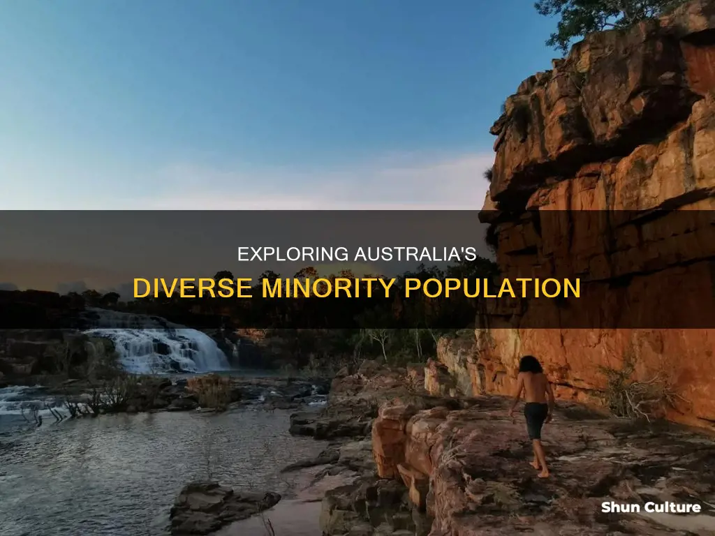 what is the minority population of australia