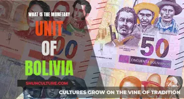 Exploring Bolivia's Monetary Unit: The Bolivian Boliviano