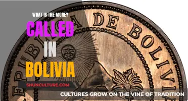 The Currency in Bolivia: What Do Bolivians Use?