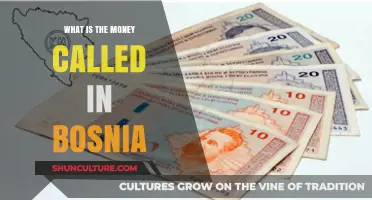Bosnia's Currency Explained: Understanding the Name and Value of the Money