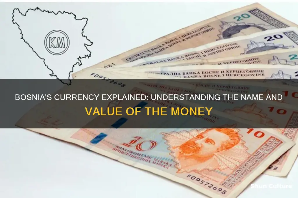 what is the money called in bosnia