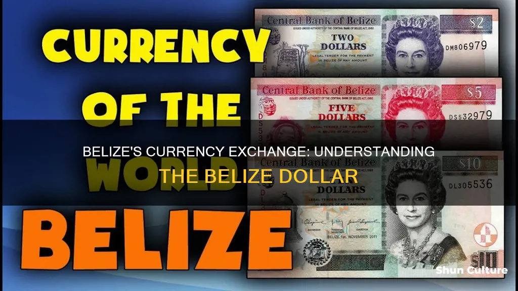 what is the money exchange in belize