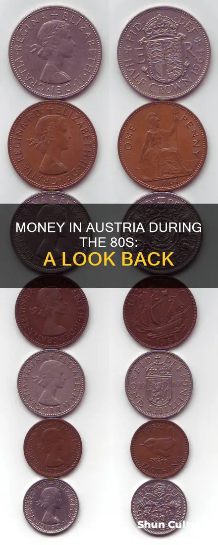 what is the money in austria in the 80s