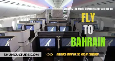 Comfortable Flights to Bahrain: The Best Airlines