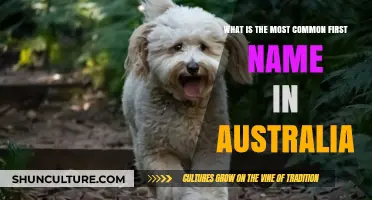 Discovering Australia's Most Popular First Name: Trends and Insights