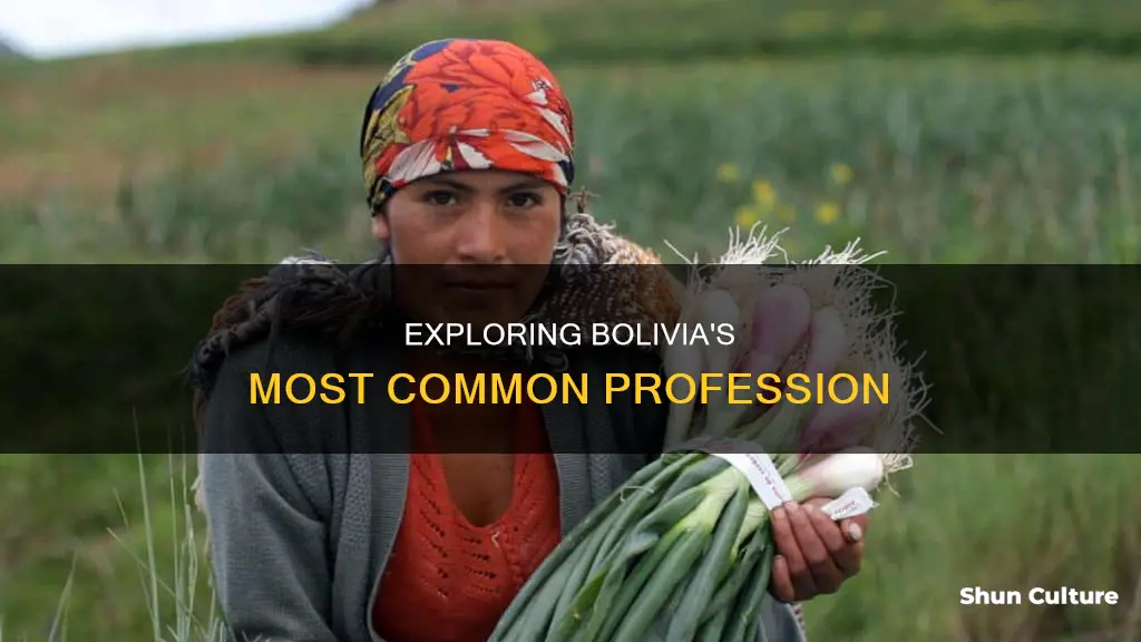 what is the most common job in bolivia