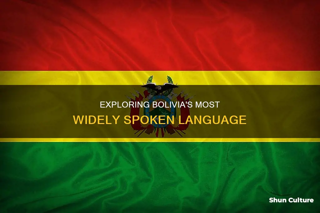 what is the most common language people speak in bolivia