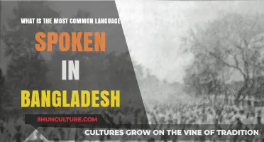 Exploring Bangladesh's Primary Language: A Deep Dive into Bengali Dominance