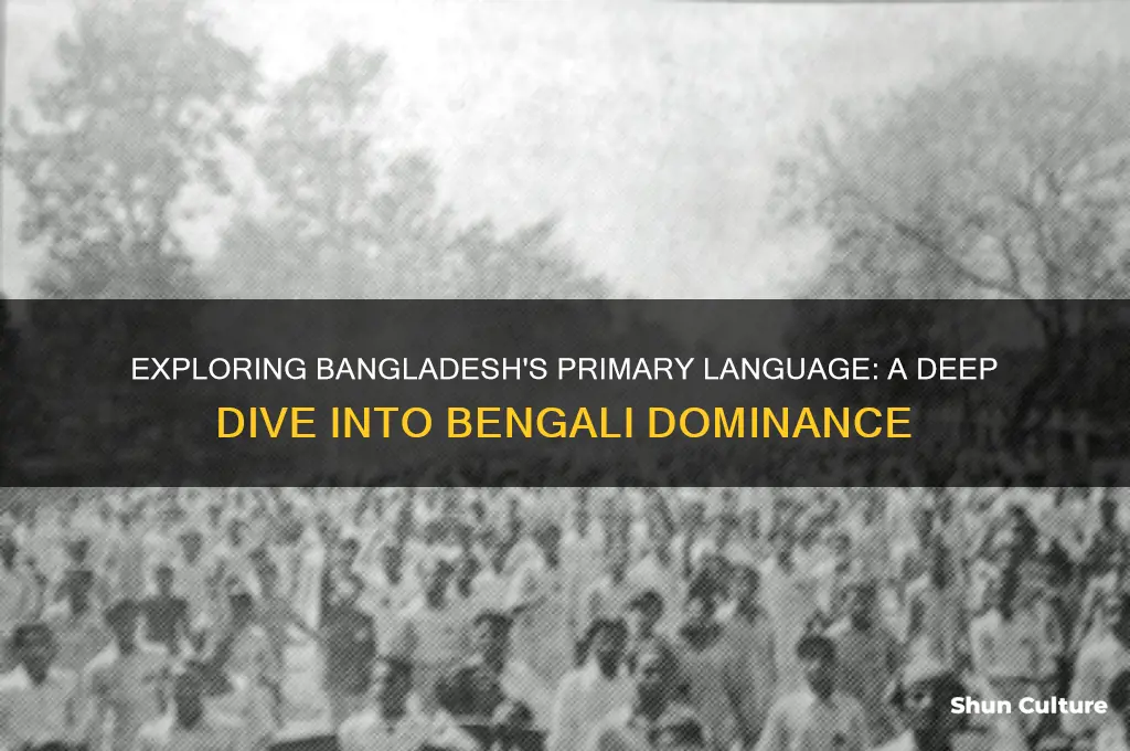 what is the most common language spoken in bangladesh