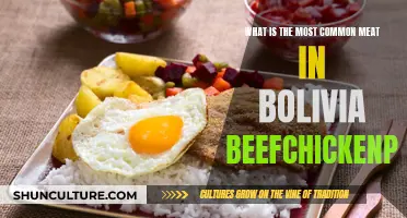 Meat in Bolivia: Beef, Chicken, Pork, and Lamb Explored