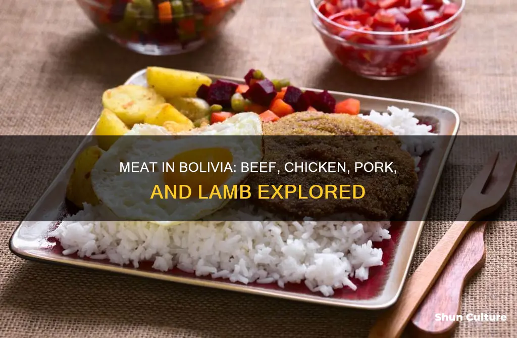 what is the most common meat in bolivia beefchickenporklamb