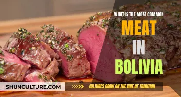 Meat in Bolivia: The Most Common Delicacy Explored