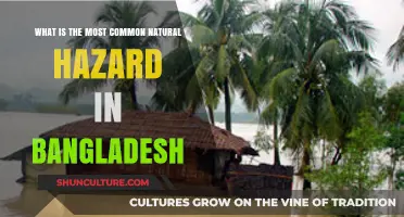 Bangladesh's Recurring Threat: Understanding the Most Common Natural Hazard