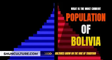 Exploring Bolivia's Current Population: Understanding the Numbers