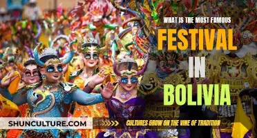 Bolivia's Famous Festival: What's All the Fuss About?