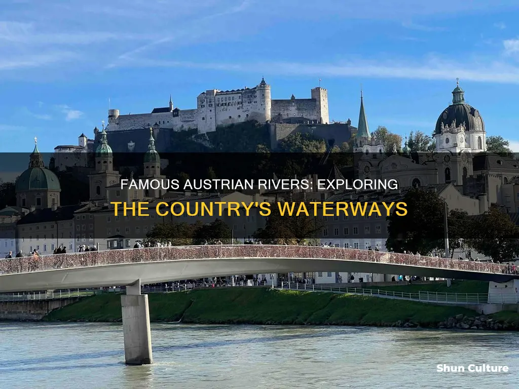 what is the most famous river in austria