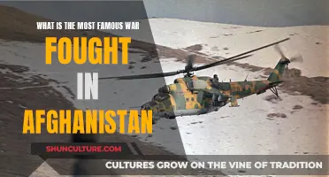 The Enduring Conflict: Afghanistan's Longest War