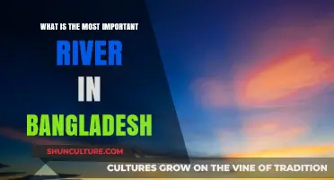 The Lifeline of Bangladesh: Exploring the Vital Role of the Padma River