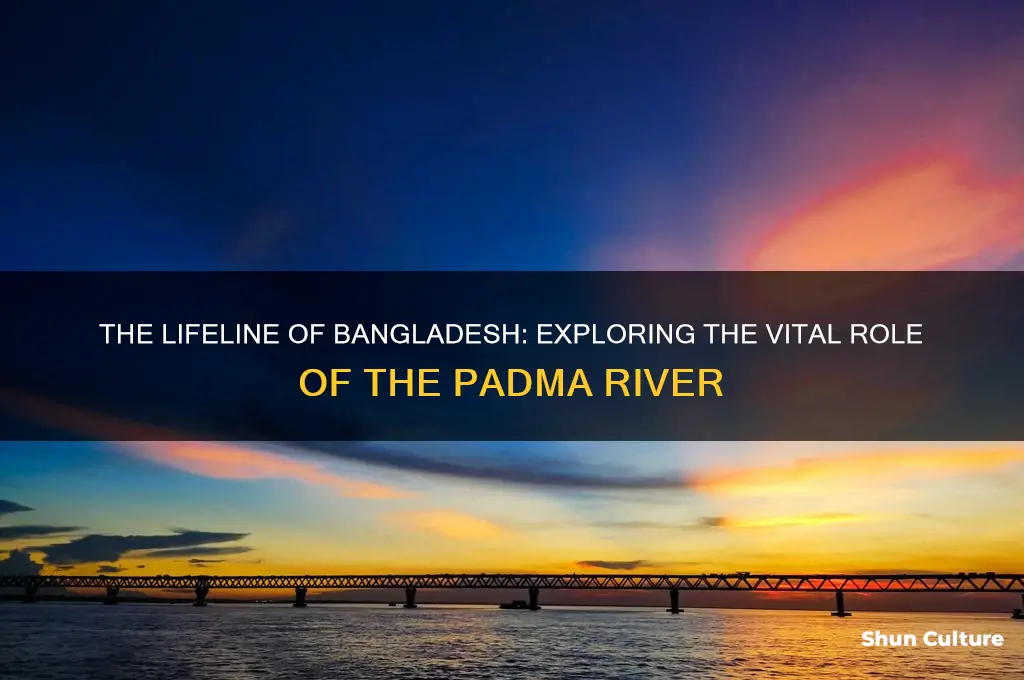 what is the most important river in bangladesh