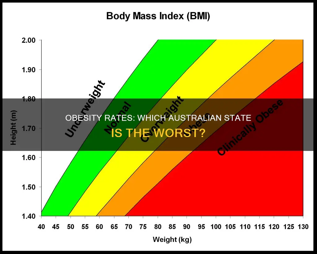 what is the most obese state in australia
