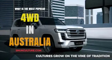 Australia's Favorite 4WDs: Top Picks Revealed