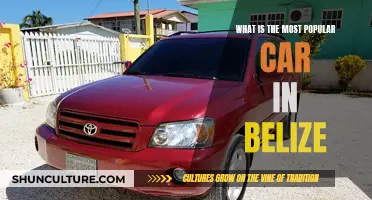 Belize's Ride of Choice: Exploring the Country's Favorite Vehicle