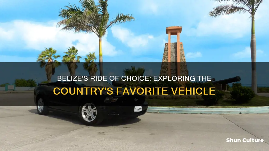 what is the most popular car in belize