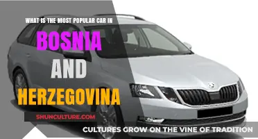 Discover Bosnia and Herzegovina's Favorite Ride: The Most Popular Car