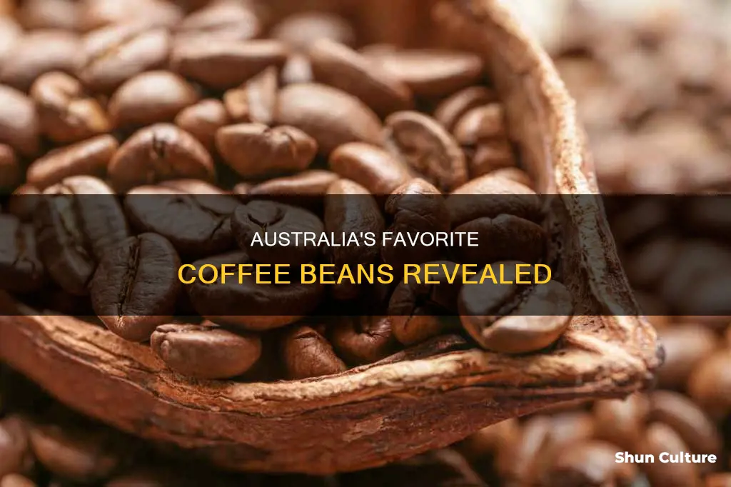 what is the most popular coffee beans in australia