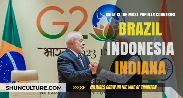 Exploring the Most Popular Countries: Brazil, Indonesia, and India