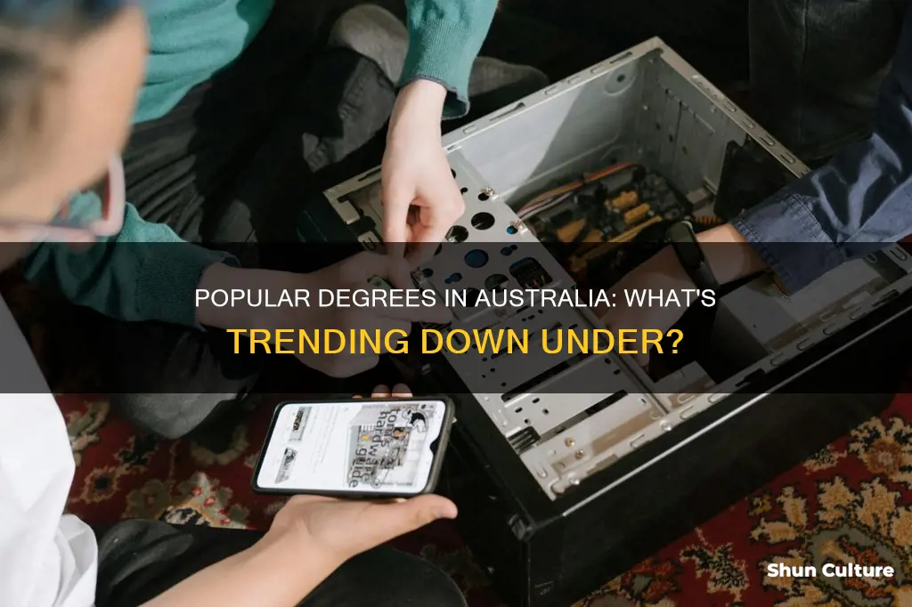 what is the most popular degree in australia
