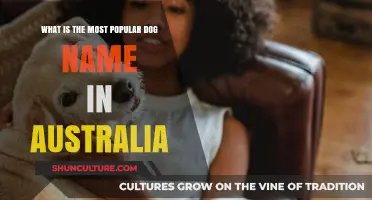Trending Dog Names: Aussies' Top Picks