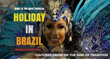 Brazil's Most Celebrated Holiday: Carnival's Cultural Impact and Joy