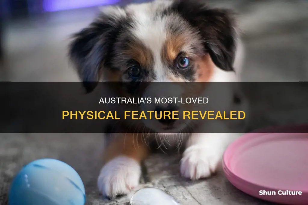 what is the most popular physical feature in australia