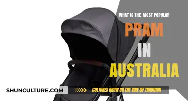 Trending Pram Models in Australia: What's Hot Now