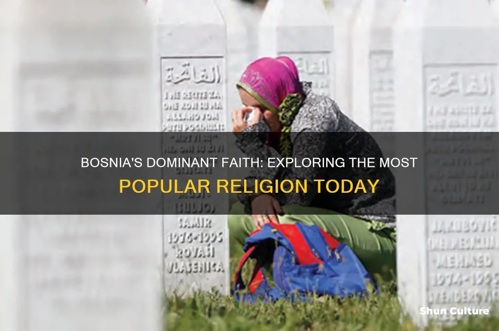 what is the most popular religion in bosnia