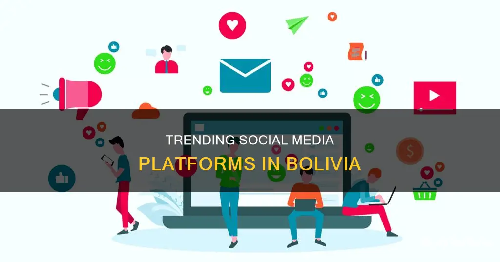 what is the most popular social media in bolivia