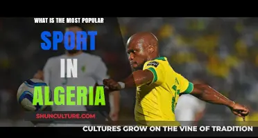 Algeria's Favorite Sport: Uncovering the Nation's Most Popular Athletic Passion