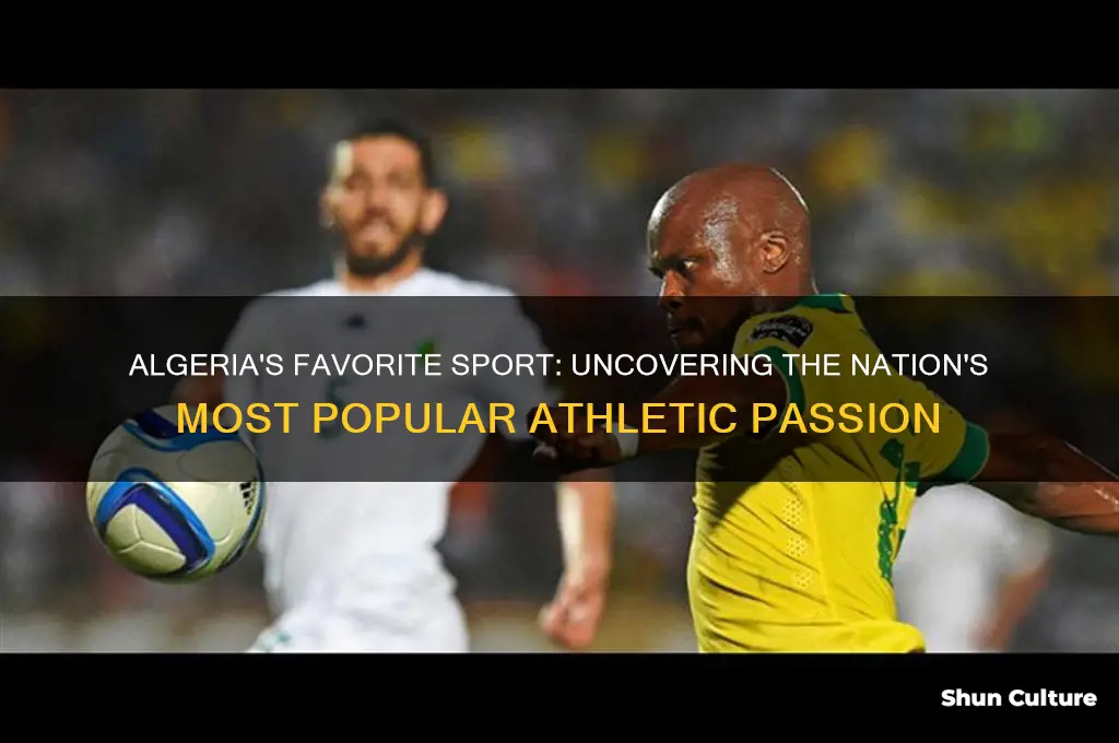 what is the most popular sport in algeria