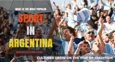 Exploring Argentina's Favorite Pastime: A Deep Dive into the Country's Most Popular Sport