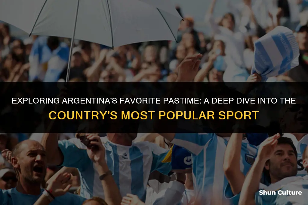 what is the most popular sport in argentina