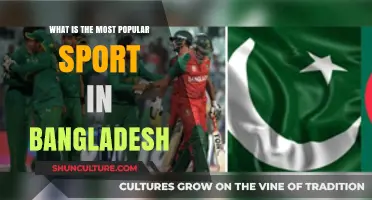 Cricket's Reign: Bangladesh's Most Popular Sport Explained