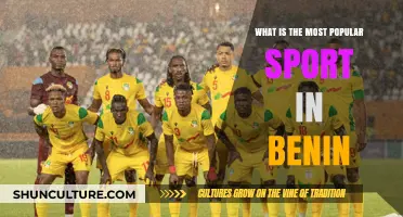 Exploring Benin's Favorite Pastime: A Deep Dive into the Country's Most Popular Sport