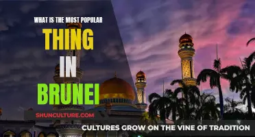 Exploring Brunei's Most Popular Attractions and Traditions