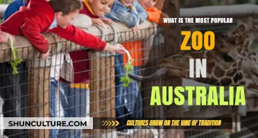 Australia's Favorite Zoo: Where Wildlife Meets Adventure