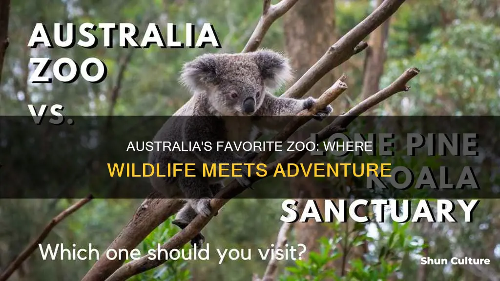what is the most popular zoo in australia