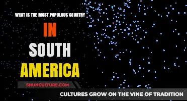 Exploring South America's Most Populous Country: A Demographic Overview