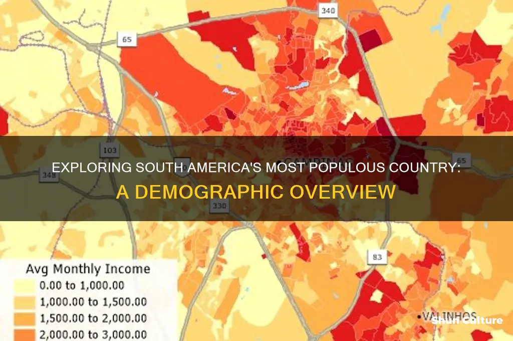 what is the most populous country in south america